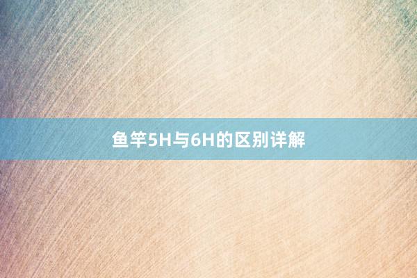 鱼竿5H与6H的区别详解